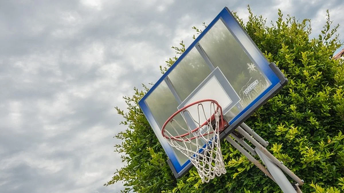 WNBA奖项观察：威尔逊领跑下的数据趋势与观赛感受